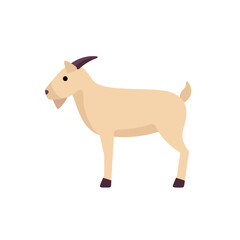Cute goat vector flat illustration isolated on white background. Cartoon character goat farm animal.