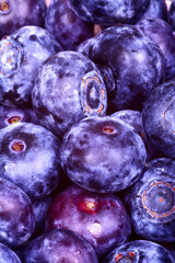 Obraz premium Close up of fresh ripe juicy blueberries