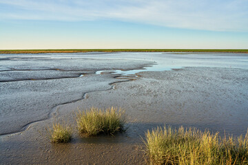 the mud flats at Langwarder Groden (Butjadingen, Germany) during low tide with vivid blue sky