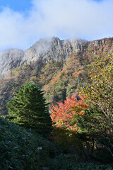 Fototapeta premium 西日本最高峰の四国の百名山「石鎚山」の秋