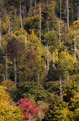 autumn in the mountains