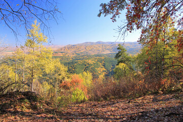 Autumn landscape in the Altai mountains. Russia. A wonderful view from the mountain Tserkovka. Wonderful place to walk.