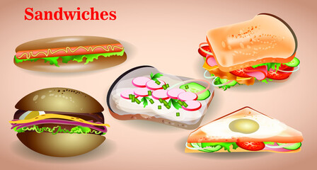 Set of 5 sandwiches. Burger, Hot dog, traditional ham and cheese toast, vegetable and egg sandwich