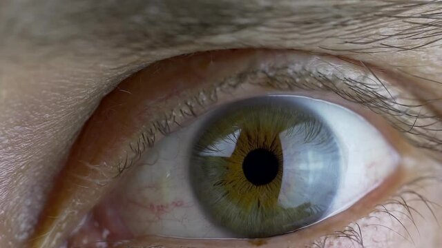 Extreme Close-up of Dilating Pupil of Male Eye