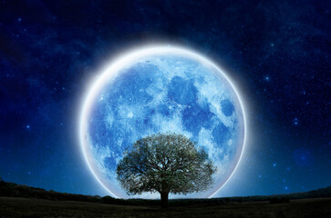 Supervollmond mit Silhouettenbaum am Nachthimmel am Bergwald. Einsamer Mond und Baumshow leben allein, Halloween und retten die Natur. Schattenbildbaum auf grüner Rasenfläche mit großem blauem Mond im Panorama