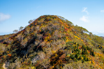 穏やかな秋の山