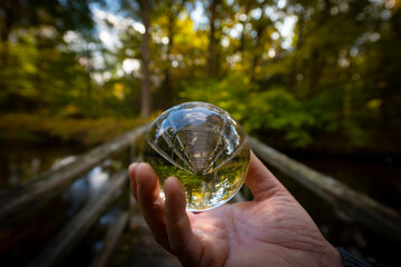 Glass lens ball with forest reflection - ecological concept