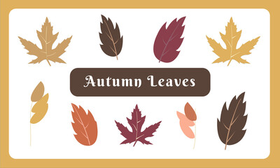 Vector set of Autumn and Fall leaves