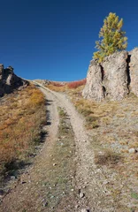 Foto op Canvas Altai autumn landscape with country road, rocks and yellow larch trees. Altai, Russia © Serg Zastavkin