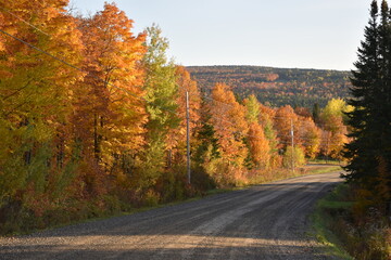 The lake road in autumn, Sainte-Apolline, Québec, Canada