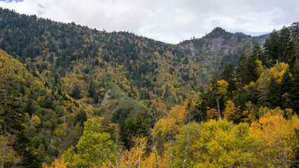 Smoky Mountains National Park, Tennessee, USA
