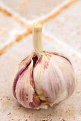 ail en gros plan sur une table