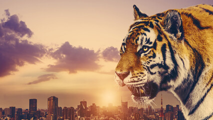 虎と都市　2022年イメージ　寅年年賀状