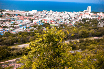 The view of the natural background of the mountain close-up, with blurred fog scattered in the rainy season or the humid climate, with beautiful green trees in the ecological system