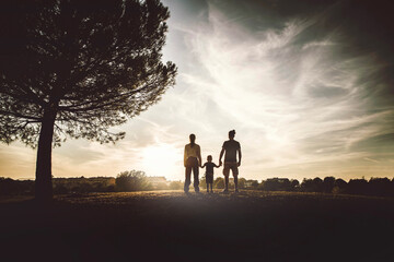 Family holding hands on a hill at sunset - Insurance, organ donation, world heart day, happy...