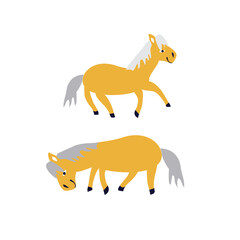 Vector horse hand drawn colorful illustration set isolated on white background, domestic cute foal, decorative animal, cartoon pose design for greeting card, children invitation