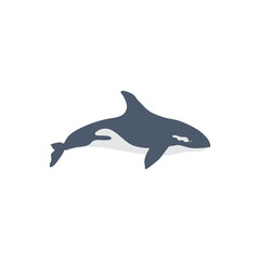 killer Whale isolated on white wbackground, Marine vector illustration, colorful wild animal, cartoon mammal, decorative flat sign orca, cartoon sea symbol for travel design, greeting card, invite