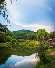 lake in the forest