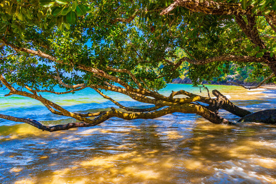Tropical Paradise Aow Kwang Peeb Beach Koh Phayam island Thailand.