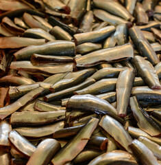Raw herrings, herring fish preparation