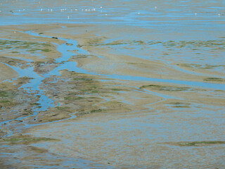 Aerial view of Unesco World Heritage site in the Waddensea, Friesland. The difference between high...