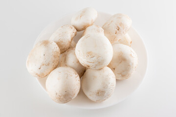 premium champignon mushrooms isolated