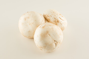premium champignon mushrooms isolated