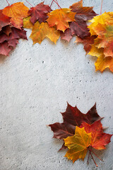 Multicolored maple leaves on a cement background. Autumn concept.