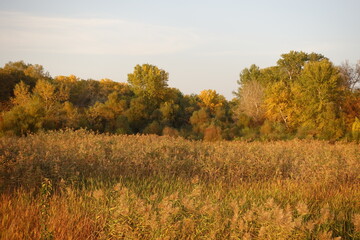 Fototapeta premium Beautiful Autumn Scenery Colors of Nature III 🍁🍂