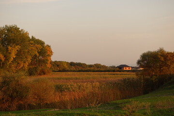 AUTUMN LANDSCAPE PHOTOGRAPHY Tips and Techniques

