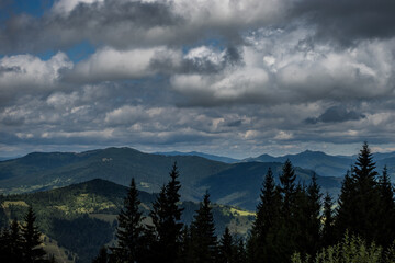 Landscape with Beautiful Nature