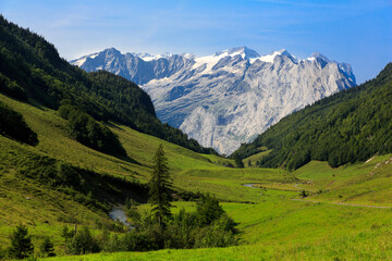 Fototapeta na wymiar Landscape of Swiss Alps with wild trees, a stream and little snow on top of Alps