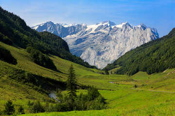 Obraz premium Landscape of Swiss Alps with wild trees, a stream and little snow on top of Alps