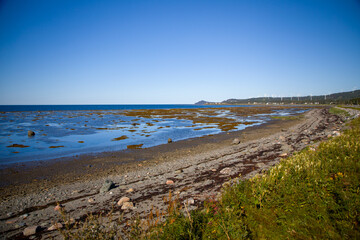 Cote de la Gaspésie