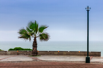 park on the shores of Pacific Ocean