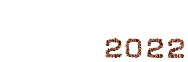 Happy new year 2022. Numbers 2022 with a pinecone texture on an isolated white background. New year's holiday concept banner