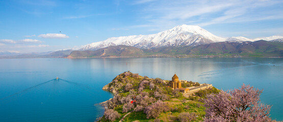 ‘Armenian Holy Cross Cathedral’ surrounded by tree in blossom, in a middle of ‘Akdamar Island’ Akdamar Adasi, Lake Van, Turkey.  © kenan