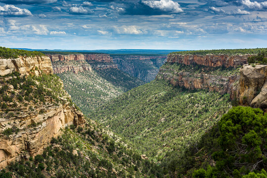 Mesa Verde National Park