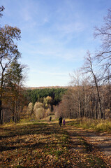 Autumn forest of central Russia and walking people. 