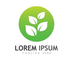 leaf logo and vector images