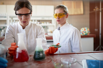 Young female chemistry students in the university laboratory observe a chemical reaction in an experiment. Science, chemistry, lab, people