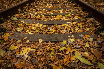 Autumn background. Warm colors. Fallen dry leaves on the sleepers. Cozy background. Dead foliage. Colorful landscape. Beauty of nature. Colored leaves on the railroad. Wooden sleepers.