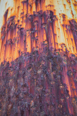 rusty metal texture