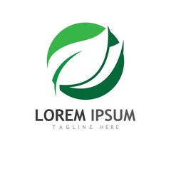 leaf logo and vector images