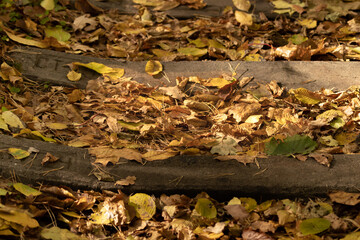 Autumn background. Warm colors. Fallen dry leaves on the sleepers. Cozy background. Dead foliage. Colorful landscape. Beauty of nature. Colored leaves on the railroad. Wooden sleepers.