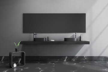 Dark bathroom interior with large mirror, double sink