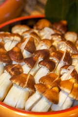 Close-up of small eryngii mushrooms for a hot pot