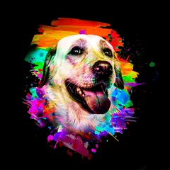 Poster golden retriever dog with a bone © reznik_val