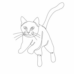 cat jumping one continuous line drawing