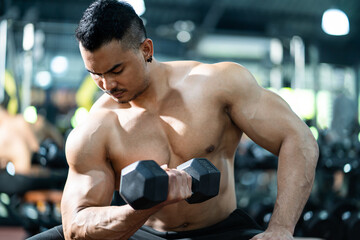 Fototapeta premium Handsome shirtless adult Asian men sweating while lift up the dumbbell workout for arm biceps muscle part inside of fitness gym. Bodybuilding athlete sport training for body strength and good health.